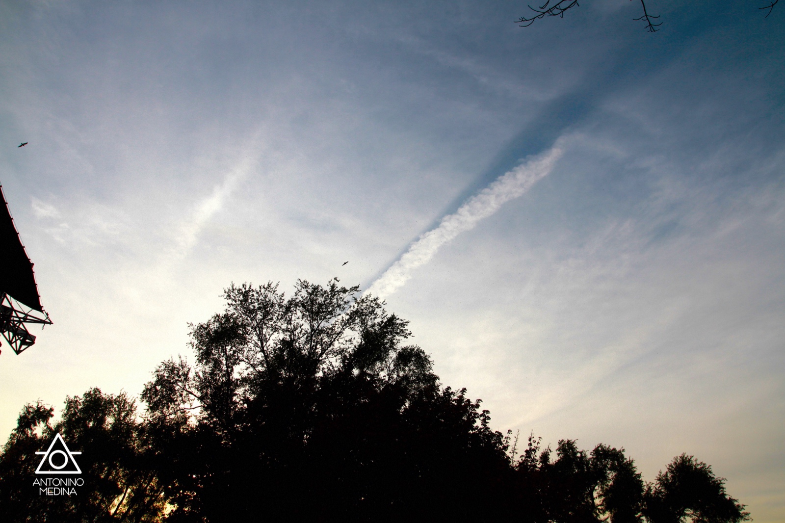 038 IMG 9822
